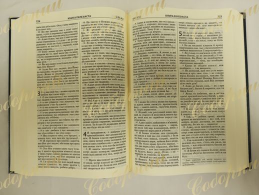 Bible in Ukrainian