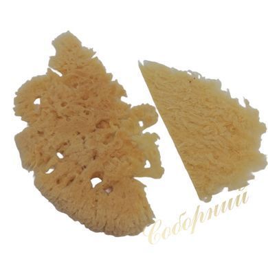 Губка антиминса натуральная