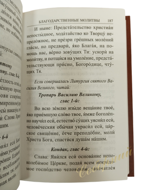 Молитвослов на всяку потребу (17х12 см.)