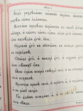 Big psalter (in leather binding, church slavonic)