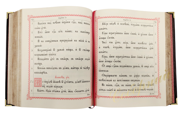 Big psalter (in leather binding, church slavonic)