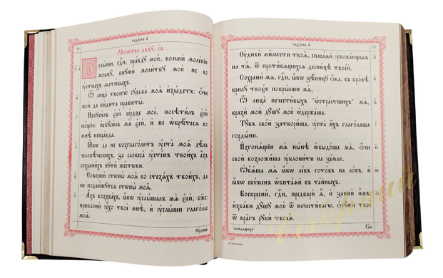 Big psalter (in leather binding, church slavonic)