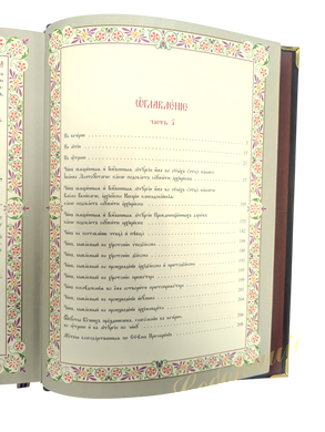 Чиновник в кожаном переплете