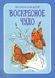 Sunday Miracle. Stories for Children