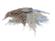 Brand headscarf