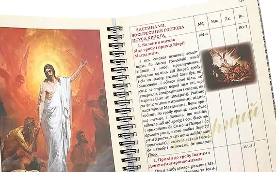Synopsis of the Gospel Story
